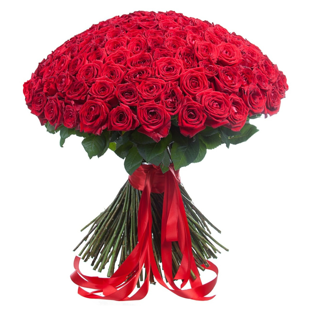 Картинка Букет из 151 розы "BIG LOVE" 50 см